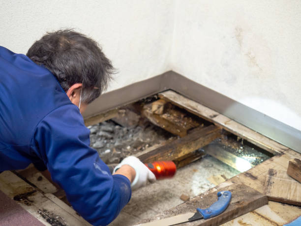 Crawl Space Mold Removal in Noroton, CT