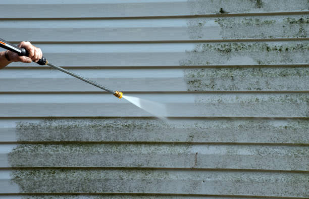 Best Commercial Mold Removal  in Noroton, CT
