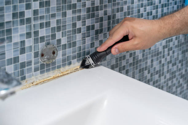 Best Commercial Mold Removal  in Noroton, CT